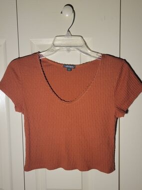 Wild Fable Rust/Burnt Orange Ribbed V-Neck Crop Top
